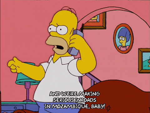 Mozambique Homer Simpson GIF