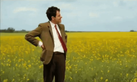 Mr Bean Wait For A Car GIF