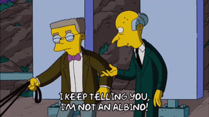 Mr Burns Waylon Smithers I'm Not Albino GIF