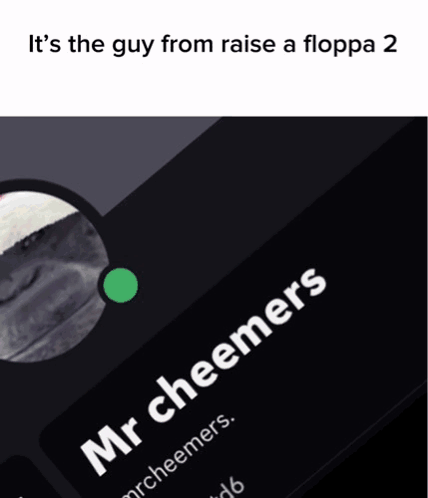 Mr Cheemers from Raise a Floppa 2