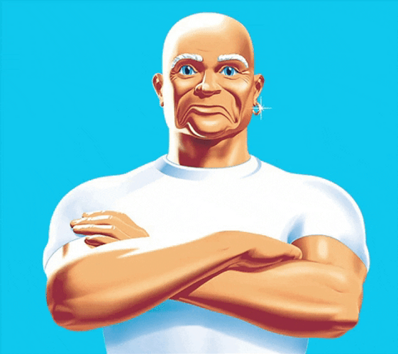 Mr Clean Serious Face Shrug Shoulders GIF