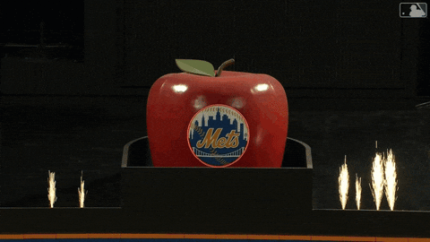 Mr Met Big Apple Ascending GIF