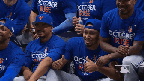 Mr Met Introducing Players GIF