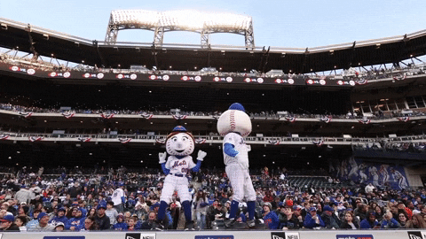 Mr Met Stage Performance GIF