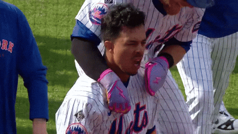 Mr Met Winning Team GIF