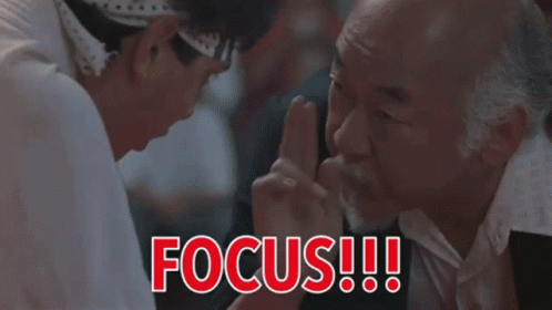 Mr Miyagi Karate Focus GIF