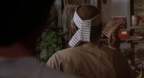 Mr Miyagi Karate Kid What GIF