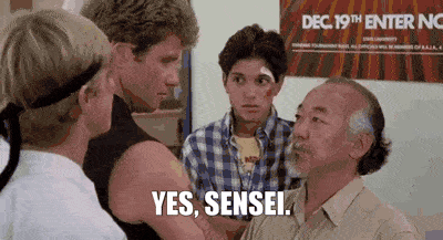 Mr Miyagi Karate Kid Yes Sensei GIF