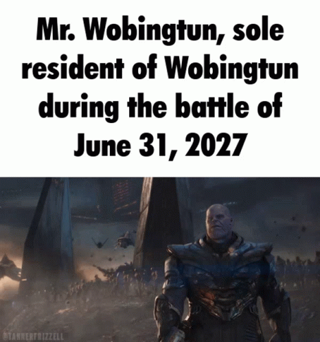 Mr. Wobingtun Sole Resident Of Wobingtun During The Battle Of June 31 2027 GIF