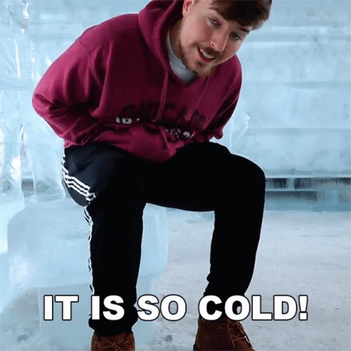 Mrbeast Meme It Is So Cold GIF
