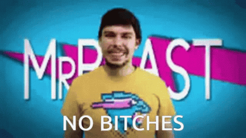 Mrbeast Meme No Bitches GIF