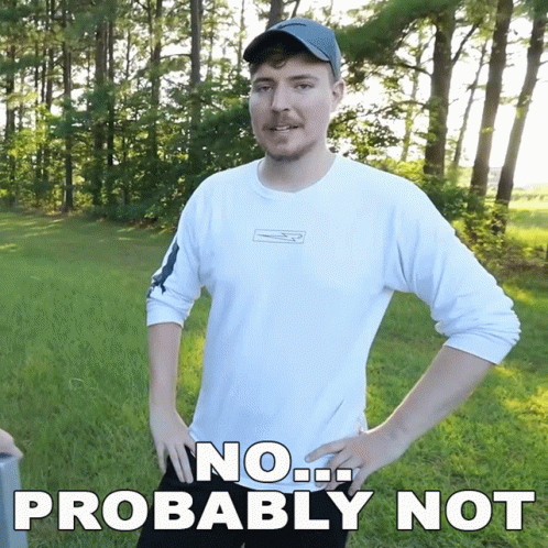 Mrbeast Meme No Probably Not GIF