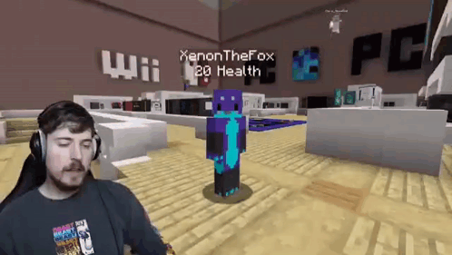 Mrbeast Meme Playing Minecraft GIF