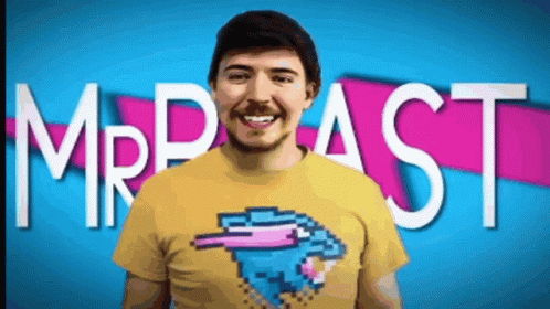 Mrbeast Sturtle Someone GIF