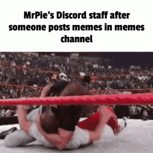 Mrpie's Discord Staff After Someone Posts Memes in Meme Channel
