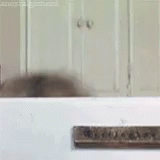 Mrs Doubtfire Funny Melting Face GIF