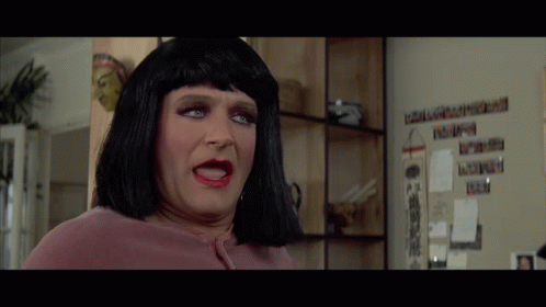 Mrs Doubtfire Robin Williams Alter Ego GIF