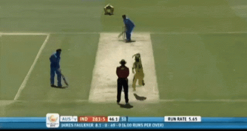 Ms Dhoni Champion 2013 GIF