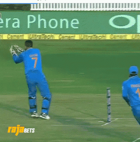 Ms Dhoni Cricket Catch GIF