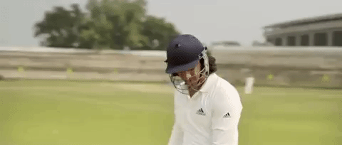 Ms Dhoni Sushant Singh Rajput Celebrate GIF