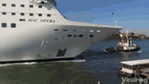 MSC Opera Cruise Ship Docked