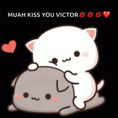 Muah Mochi Peach Cat Cuddling GIF