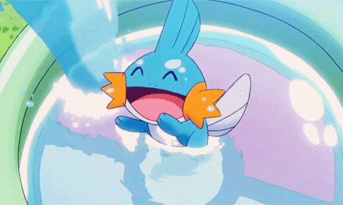 Mudkip Enjoy Playing The Water GIF