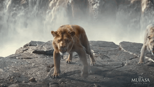 Mufasa and Lion on Rocky Hillside