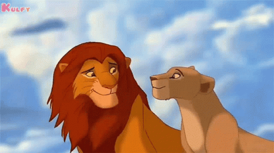 Mufasa Nala Circle Of Life  GIF