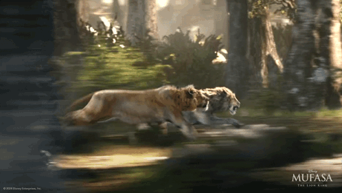Mufasa The Lion King Poster with Two Lions