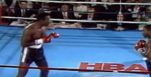 Muhammad Ali Knock Out Fight GIF