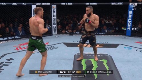 Muhammad And Della Maddalena Fighting In UFC GIF