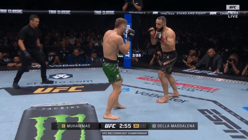 Muhammad And Della Maddalena Fighting In UFC Ring GIF