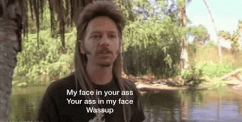 Joe Dirt My Face In Your Ass GIF