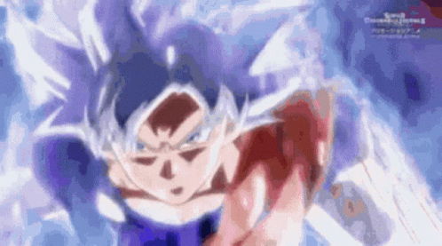 Mui Goku Dragon Ball Fight Scene Punch GIF