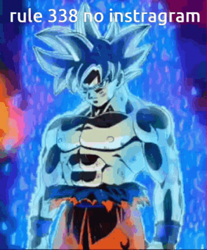 Mui Goku Dragon Ball Rule 338 No Instagram GIF