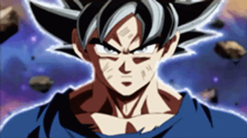 Mui Goku Dragon Ball Ultra Instinct GIF