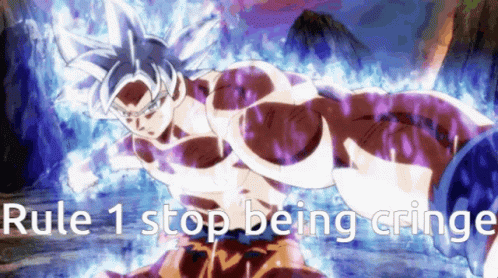 Mui Goku Rule 1 Stop Being Cringe GIF