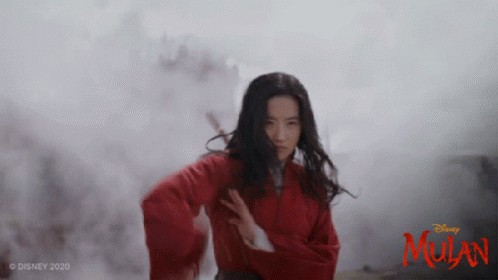 Mulan Movie Fight Liu Yifei GIF