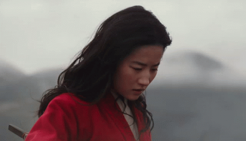 Liu Yifei Mulan Looked GIF