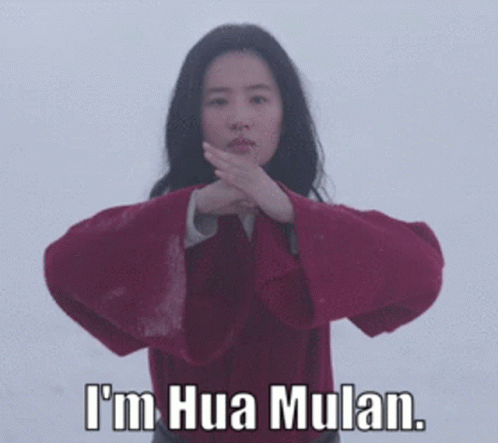 I Am Hua Mulan Liu Yifei GIF