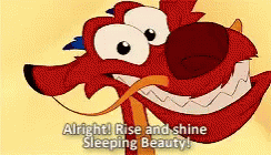 Mulan Rise And Shine Sleeping Beauty GIF