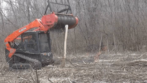 Mulcher Grinding Standing Trees To Make Mulch GIF