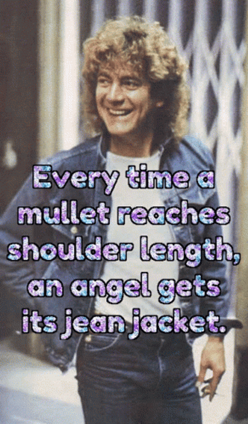 Mullet Haired Robert Plant GIF
