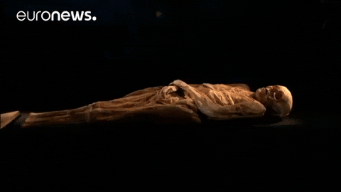 Mummy Skeleton Euro News GIF