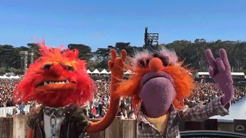Muppet Animal Concert Headbang GIF