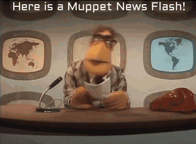 Muppet News Flash GIF