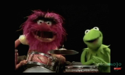 Muppets Animal And Kermit The Frog GIF