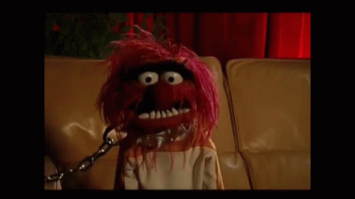 Muppets Animal Hi GIF