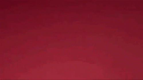 Muppets Animal Surprised GIF